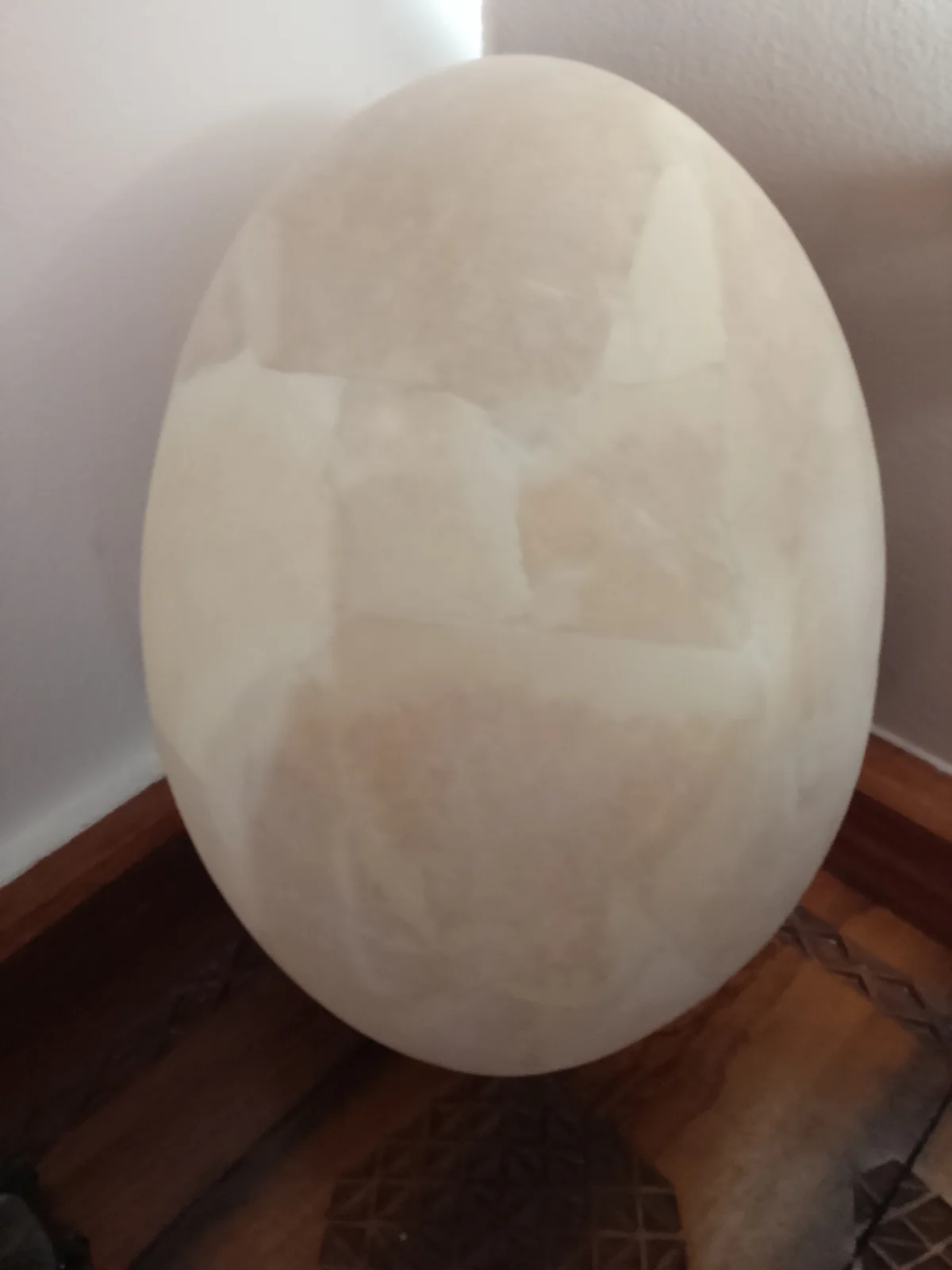 Oeufs d aepyornis reconstitués — Tous les produits